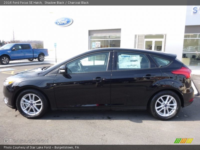 Shadow Black / Charcoal Black 2016 Ford Focus SE Hatch