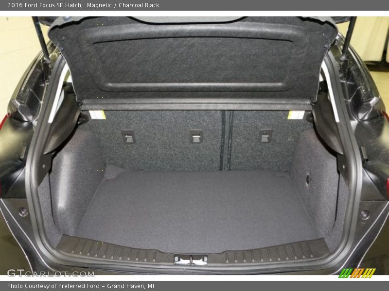 Magnetic / Charcoal Black 2016 Ford Focus SE Hatch