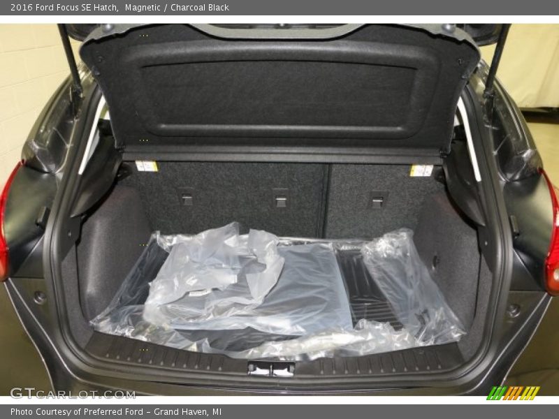 Magnetic / Charcoal Black 2016 Ford Focus SE Hatch