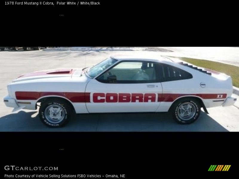  1978 Mustang II Cobra Polar White