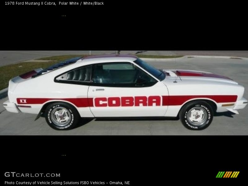  1978 Mustang II Cobra Polar White