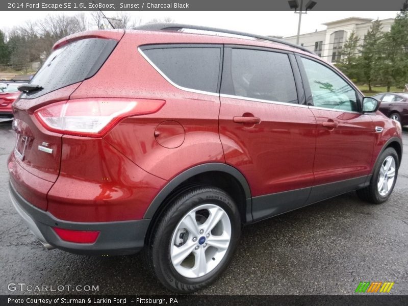 Sunset / Charcoal Black 2014 Ford Escape SE 1.6L EcoBoost