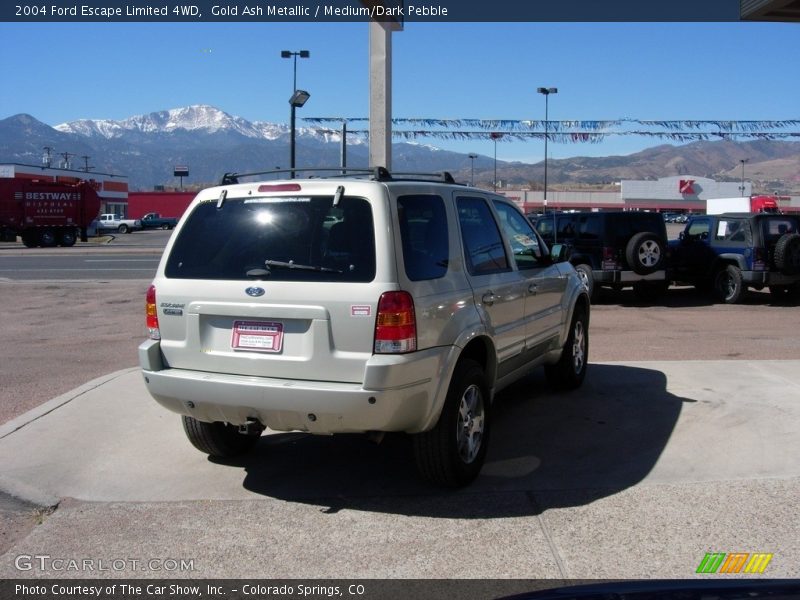 Gold Ash Metallic / Medium/Dark Pebble 2004 Ford Escape Limited 4WD