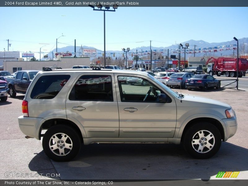 Gold Ash Metallic / Medium/Dark Pebble 2004 Ford Escape Limited 4WD