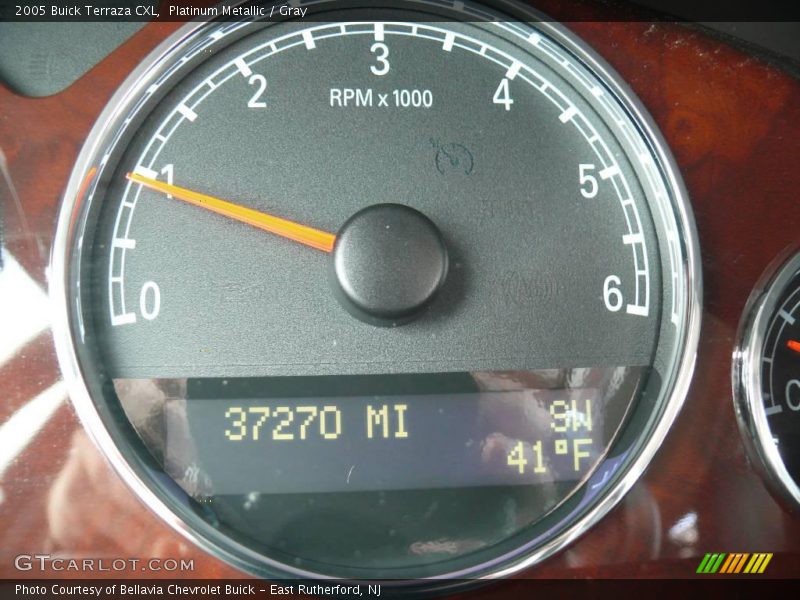 Platinum Metallic / Gray 2005 Buick Terraza CXL
