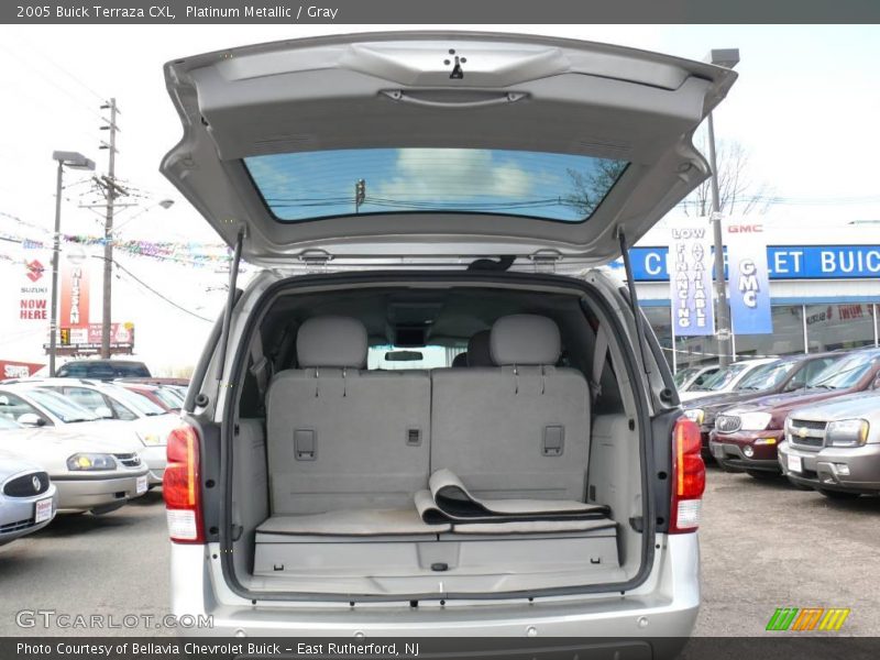 Platinum Metallic / Gray 2005 Buick Terraza CXL