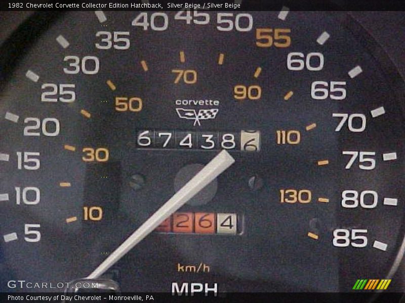 Silver Beige / Silver Beige 1982 Chevrolet Corvette Collector Edition Hatchback