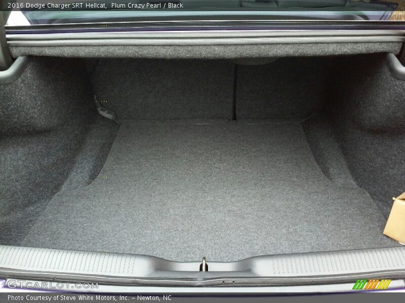  2016 Charger SRT Hellcat Trunk
