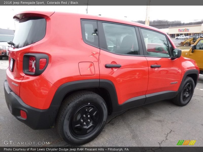 Colorado Red / Black 2016 Jeep Renegade Sport