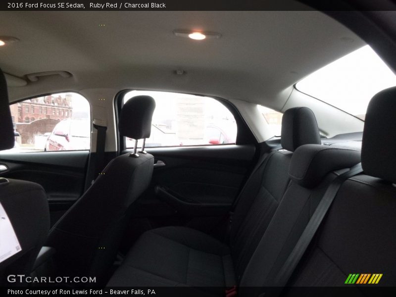Ruby Red / Charcoal Black 2016 Ford Focus SE Sedan