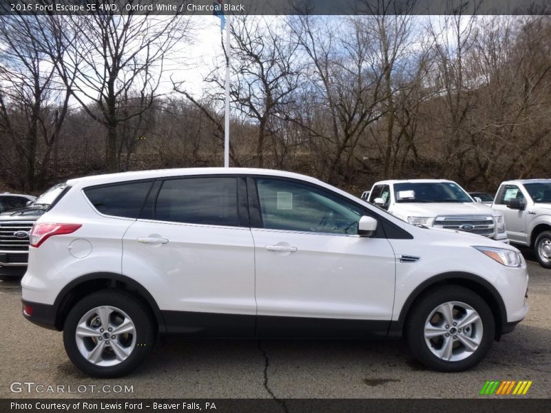 Oxford White / Charcoal Black 2016 Ford Escape SE 4WD