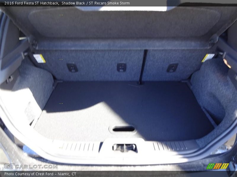 Shadow Black / ST Recaro Smoke Storm 2016 Ford Fiesta ST Hatchback