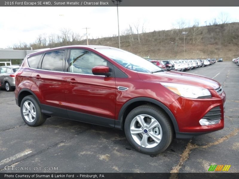 Sunset Metallic / Charcoal Black 2016 Ford Escape SE 4WD