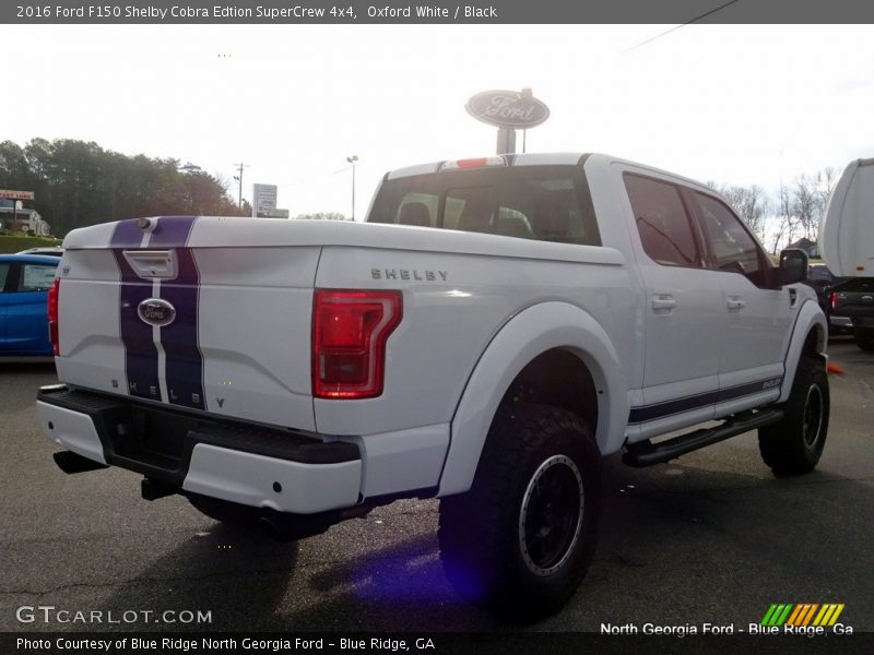 Oxford White / Black 2016 Ford F150 Shelby Cobra Edtion SuperCrew 4x4