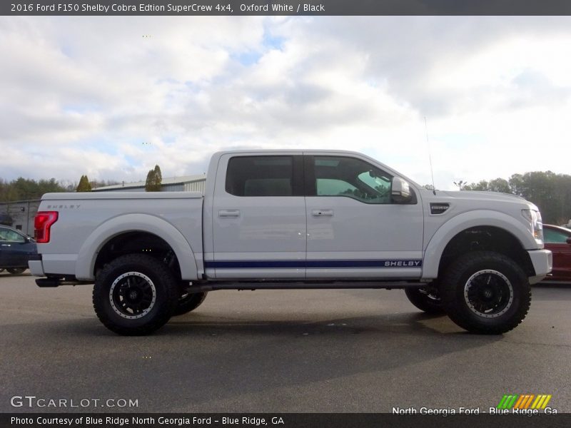 Oxford White / Black 2016 Ford F150 Shelby Cobra Edtion SuperCrew 4x4