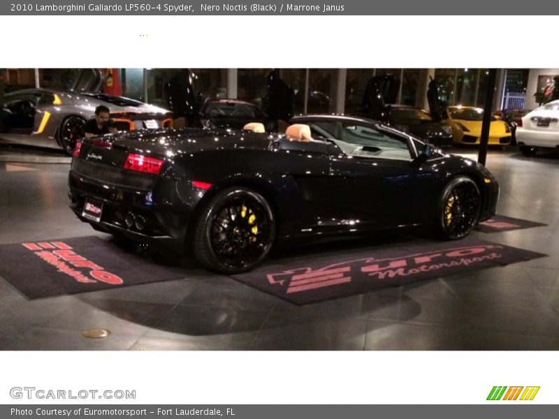 Nero Noctis (Black) / Marrone Janus 2010 Lamborghini Gallardo LP560-4 Spyder