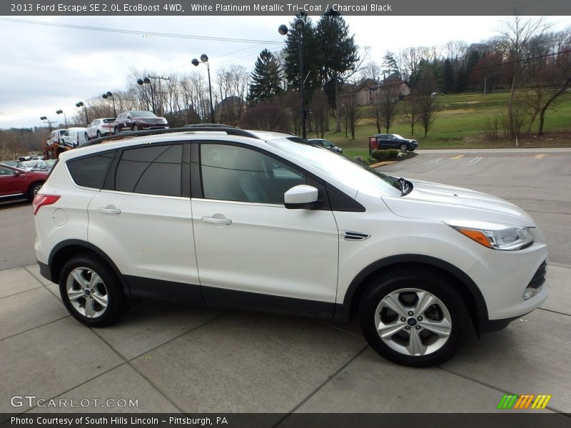 White Platinum Metallic Tri-Coat / Charcoal Black 2013 Ford Escape SE 2.0L EcoBoost 4WD