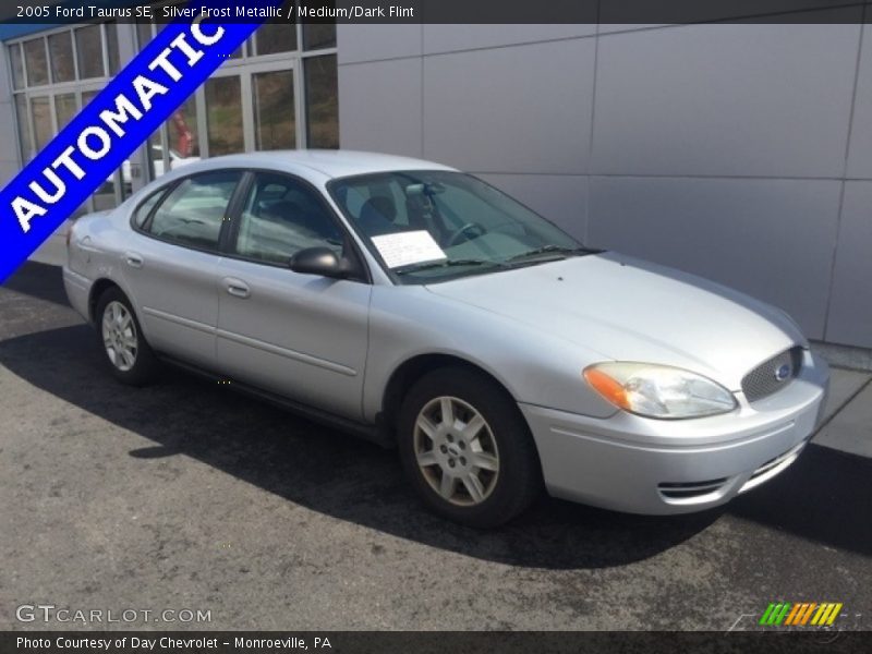Silver Frost Metallic / Medium/Dark Flint 2005 Ford Taurus SE