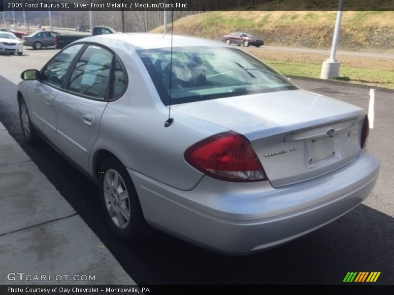 Silver Frost Metallic / Medium/Dark Flint 2005 Ford Taurus SE