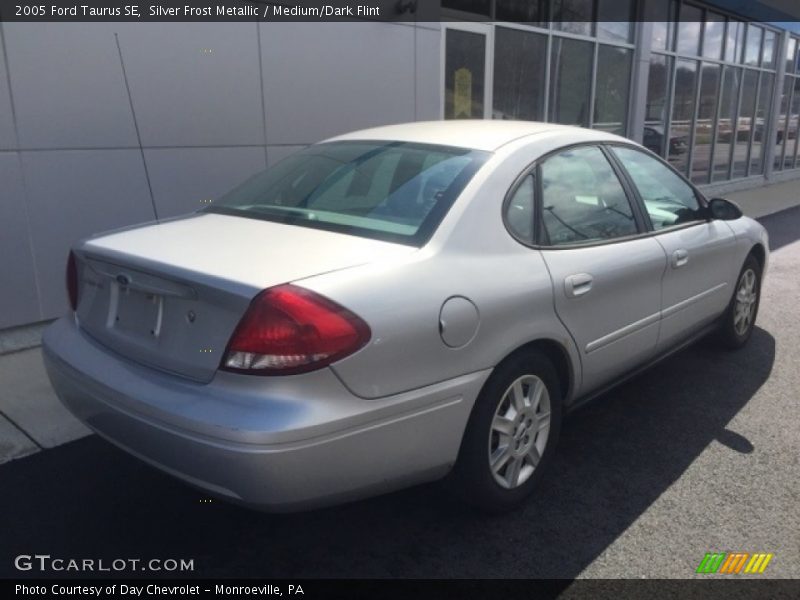 Silver Frost Metallic / Medium/Dark Flint 2005 Ford Taurus SE