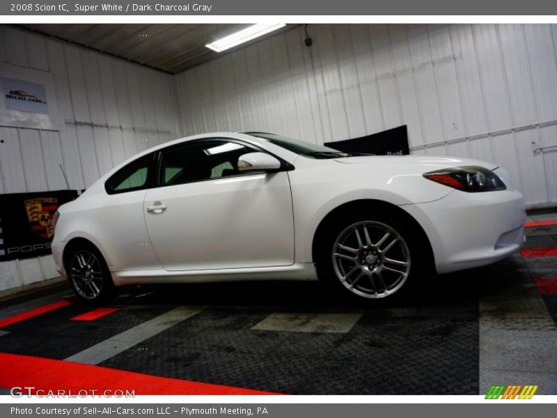 Super White / Dark Charcoal Gray 2008 Scion tC