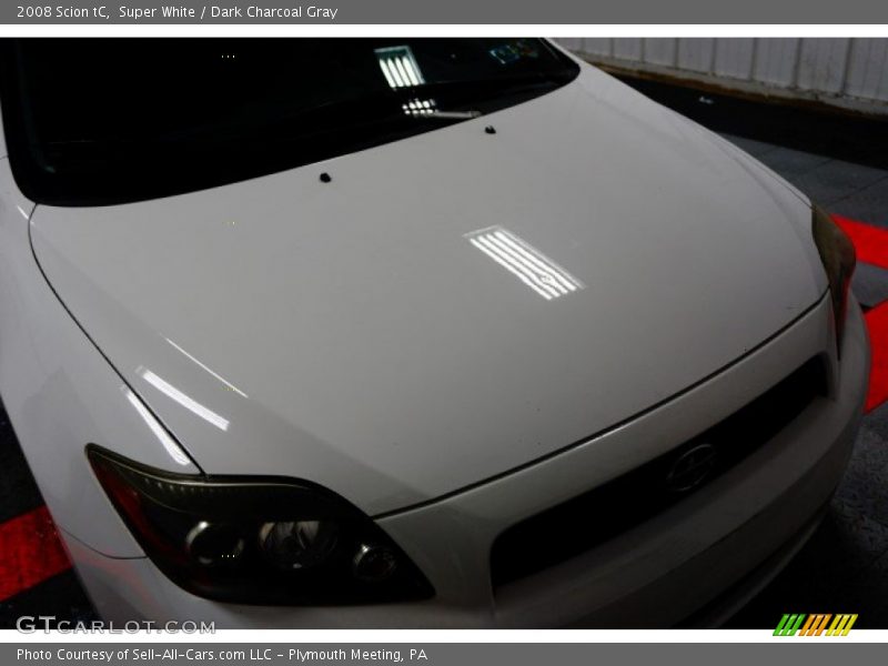 Super White / Dark Charcoal Gray 2008 Scion tC