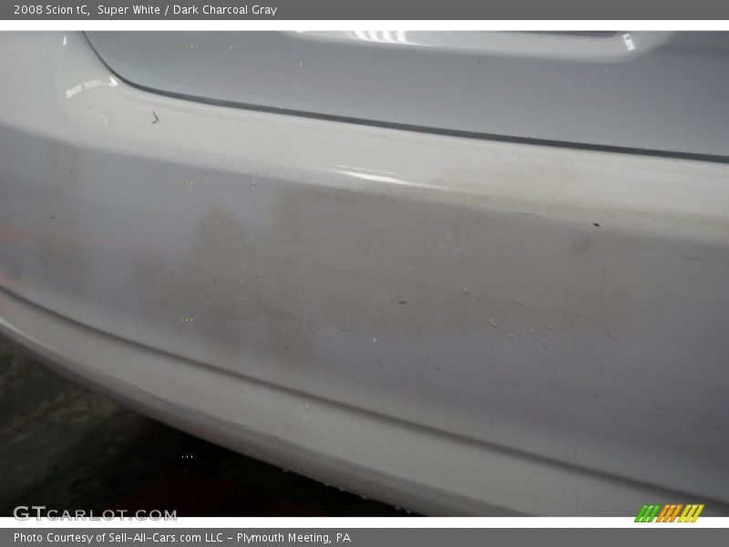 Super White / Dark Charcoal Gray 2008 Scion tC