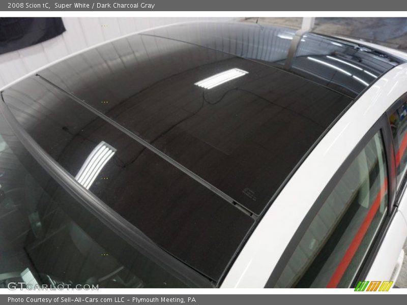 Super White / Dark Charcoal Gray 2008 Scion tC
