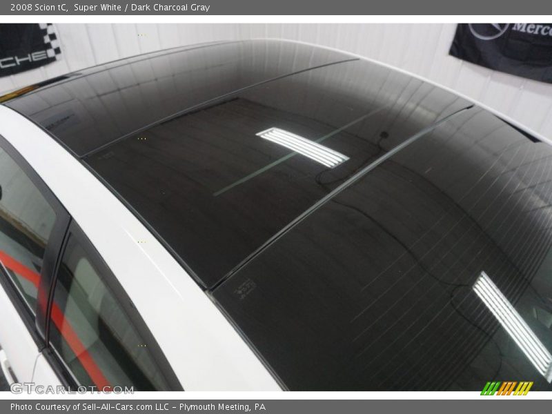 Super White / Dark Charcoal Gray 2008 Scion tC