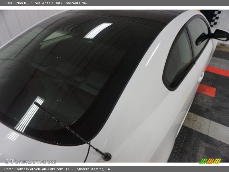 Super White / Dark Charcoal Gray 2008 Scion tC