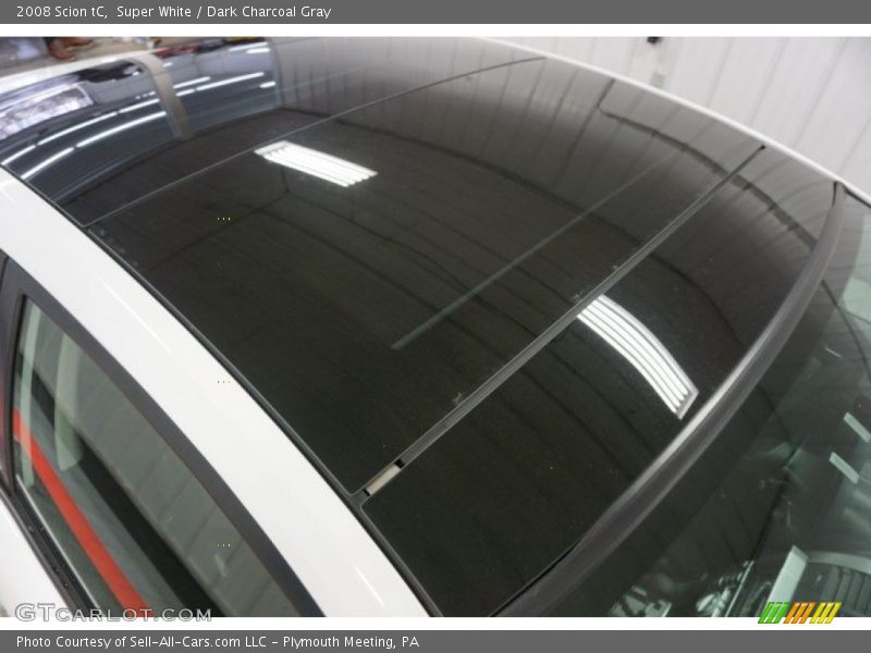 Super White / Dark Charcoal Gray 2008 Scion tC