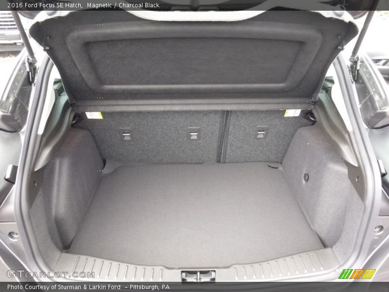 Magnetic / Charcoal Black 2016 Ford Focus SE Hatch