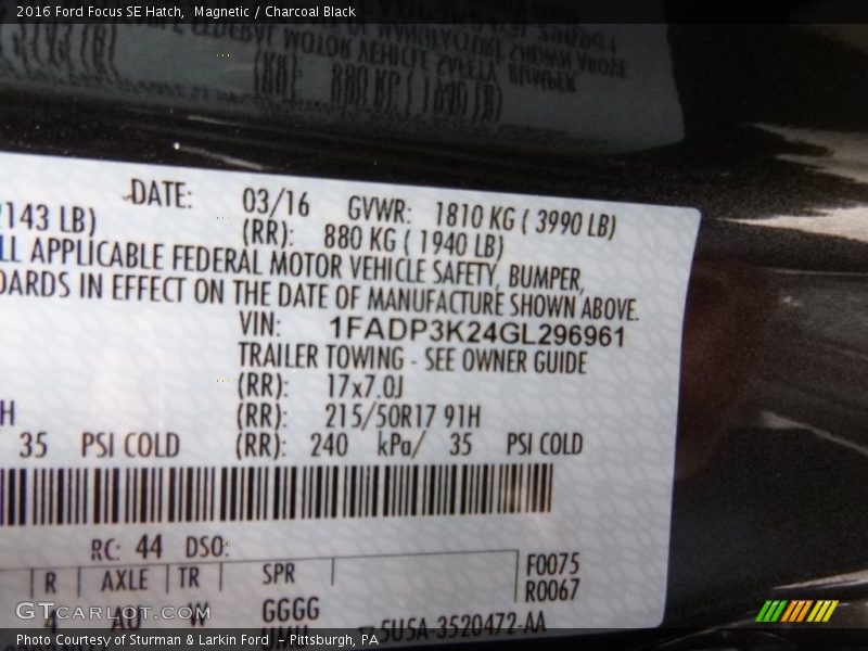 Magnetic / Charcoal Black 2016 Ford Focus SE Hatch