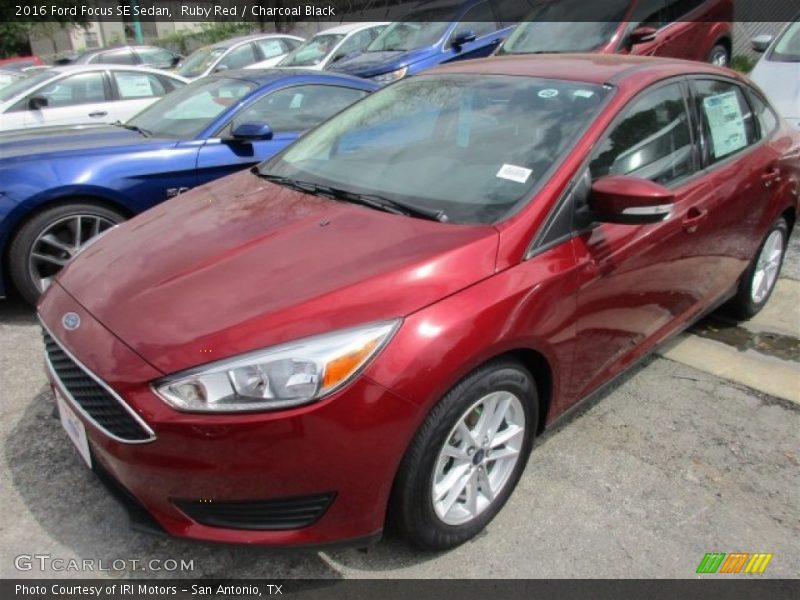 Ruby Red / Charcoal Black 2016 Ford Focus SE Sedan