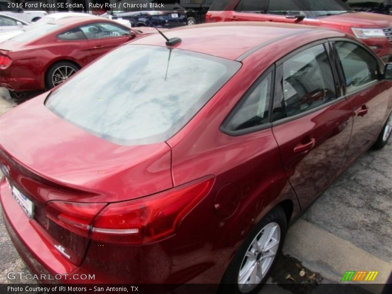 Ruby Red / Charcoal Black 2016 Ford Focus SE Sedan