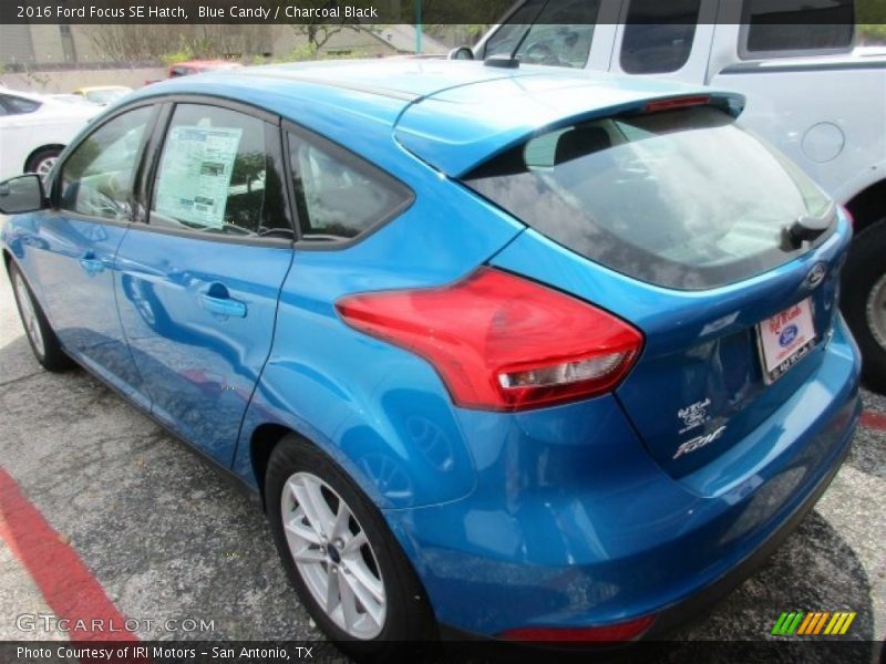 Blue Candy / Charcoal Black 2016 Ford Focus SE Hatch