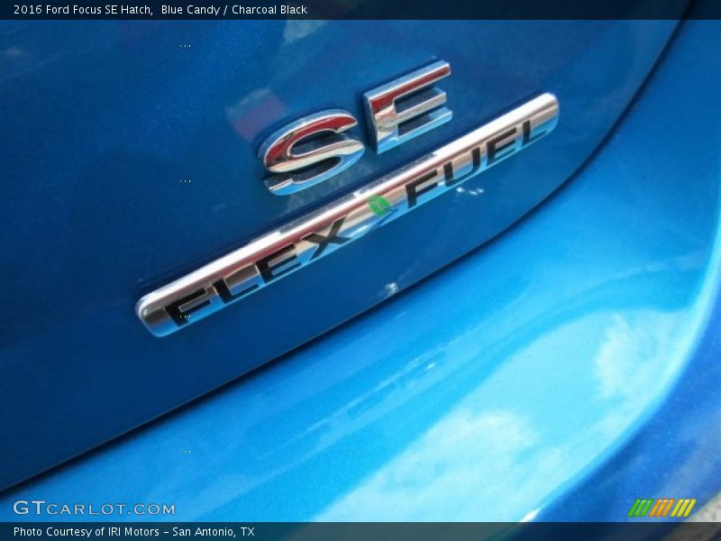 Blue Candy / Charcoal Black 2016 Ford Focus SE Hatch