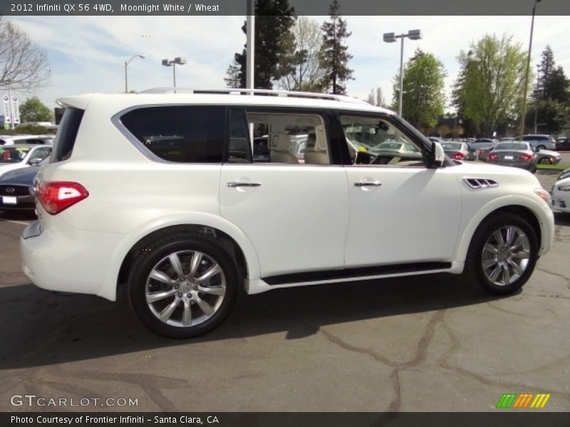 Moonlight White / Wheat 2012 Infiniti QX 56 4WD