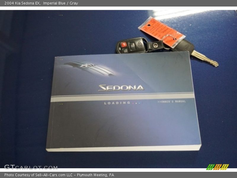 Imperial Blue / Gray 2004 Kia Sedona EX