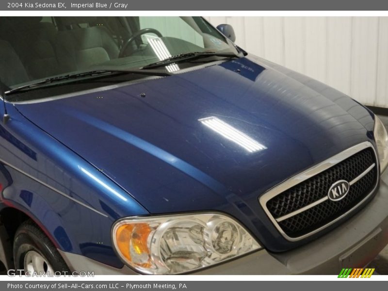 Imperial Blue / Gray 2004 Kia Sedona EX