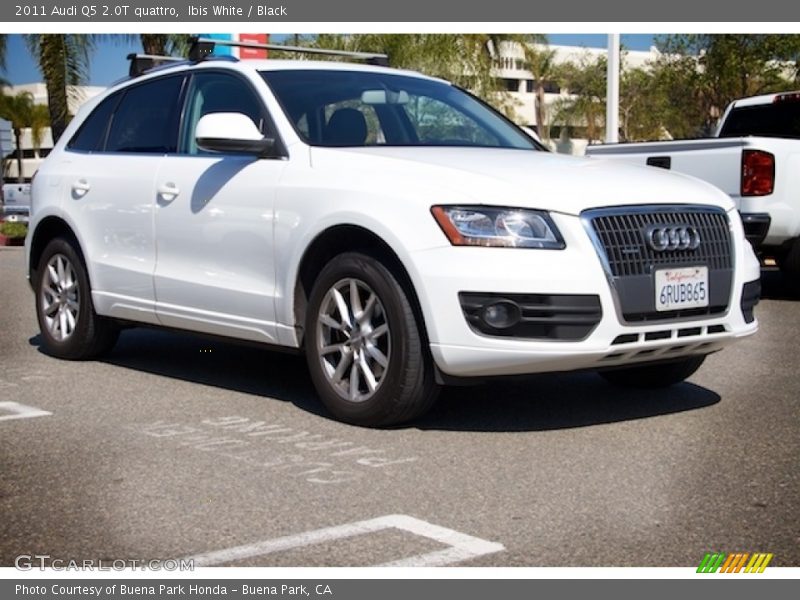 Ibis White / Black 2011 Audi Q5 2.0T quattro