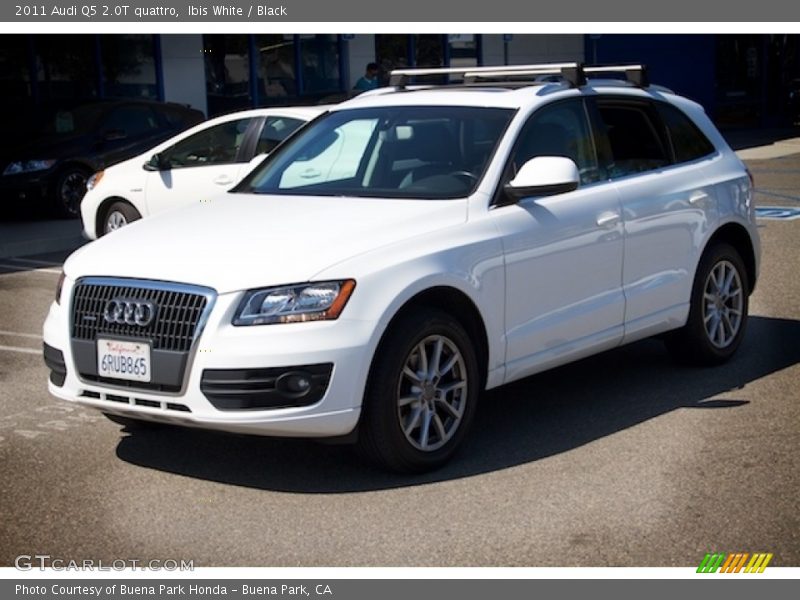 Ibis White / Black 2011 Audi Q5 2.0T quattro