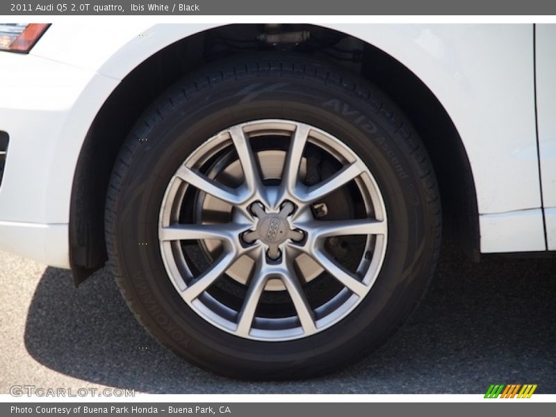 Ibis White / Black 2011 Audi Q5 2.0T quattro