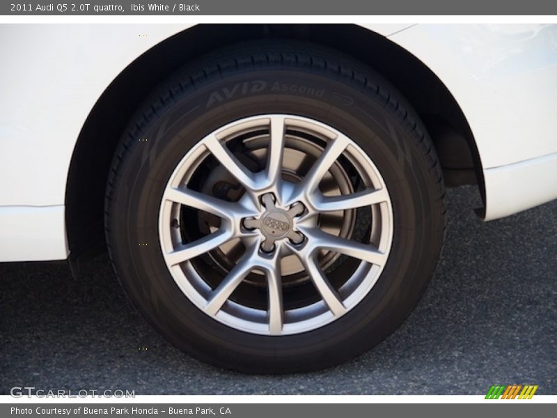 Ibis White / Black 2011 Audi Q5 2.0T quattro