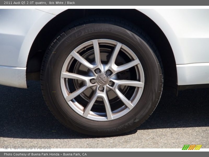 Ibis White / Black 2011 Audi Q5 2.0T quattro