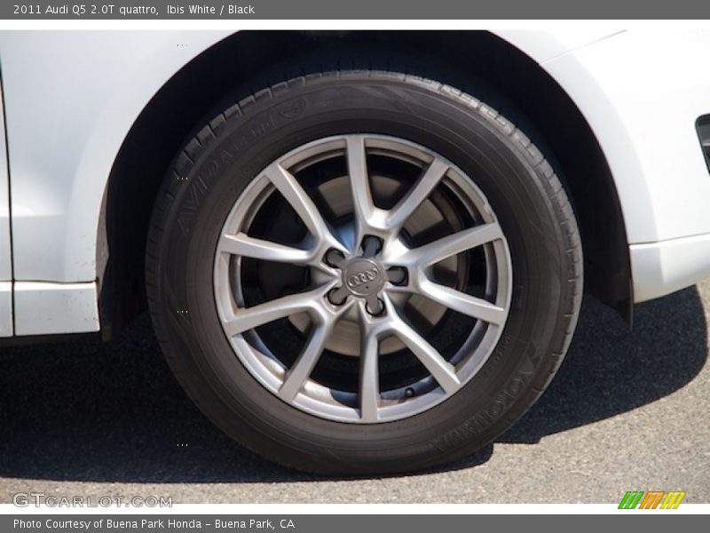 Ibis White / Black 2011 Audi Q5 2.0T quattro