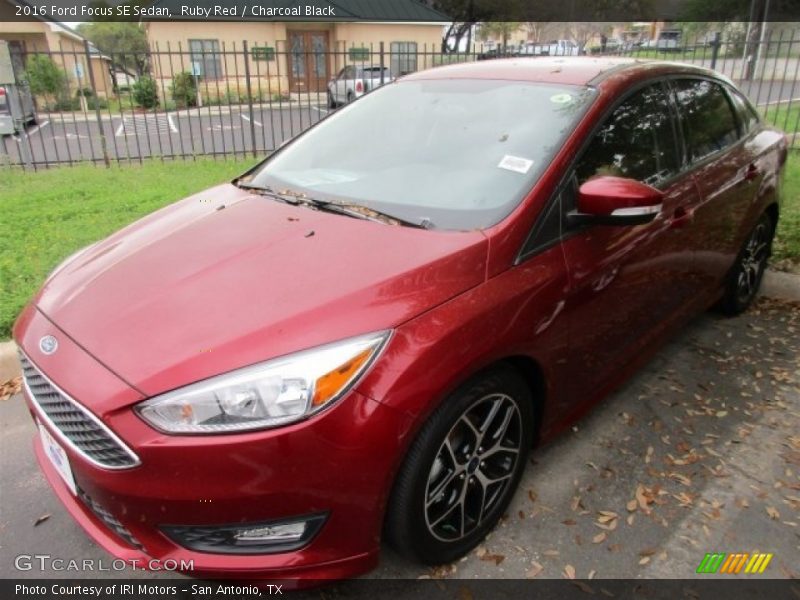 Ruby Red / Charcoal Black 2016 Ford Focus SE Sedan