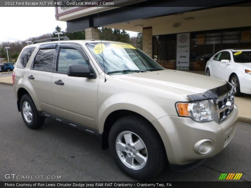 Gold Leaf Metallic / Camel 2012 Ford Escape XLT V6 4WD