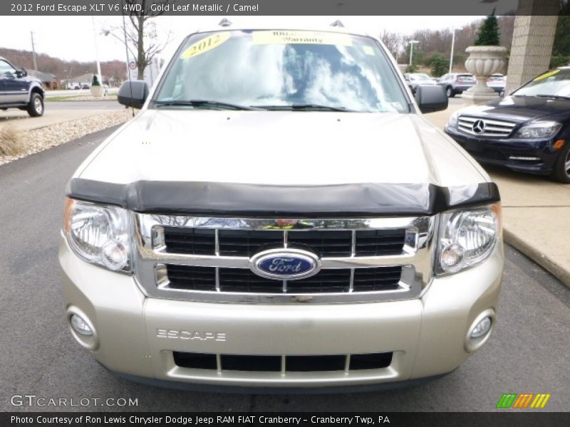 Gold Leaf Metallic / Camel 2012 Ford Escape XLT V6 4WD