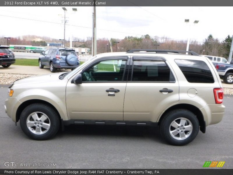 Gold Leaf Metallic / Camel 2012 Ford Escape XLT V6 4WD